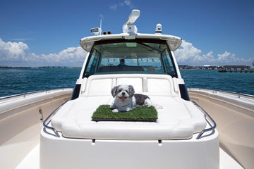 Furry friend taking a break on dog potty grass on a boat, appreciating the joy of boating life.