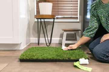 grass pee pads for dogs