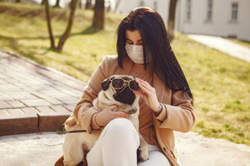 dog-seasonal-allergies