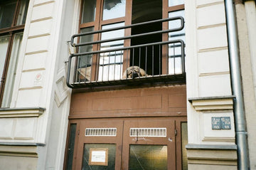 grass-pads-for-balconies-safety-setup-tips