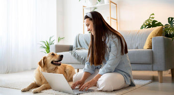 guide-to-raising-dog-in-city