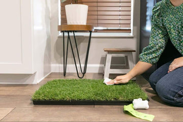 how-to-get-rid-of-grass-pad-smells