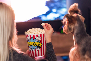 Is Popcorn Bad for Dogs