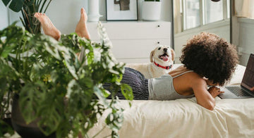 spring-cleaning-tips-for-pet-owners