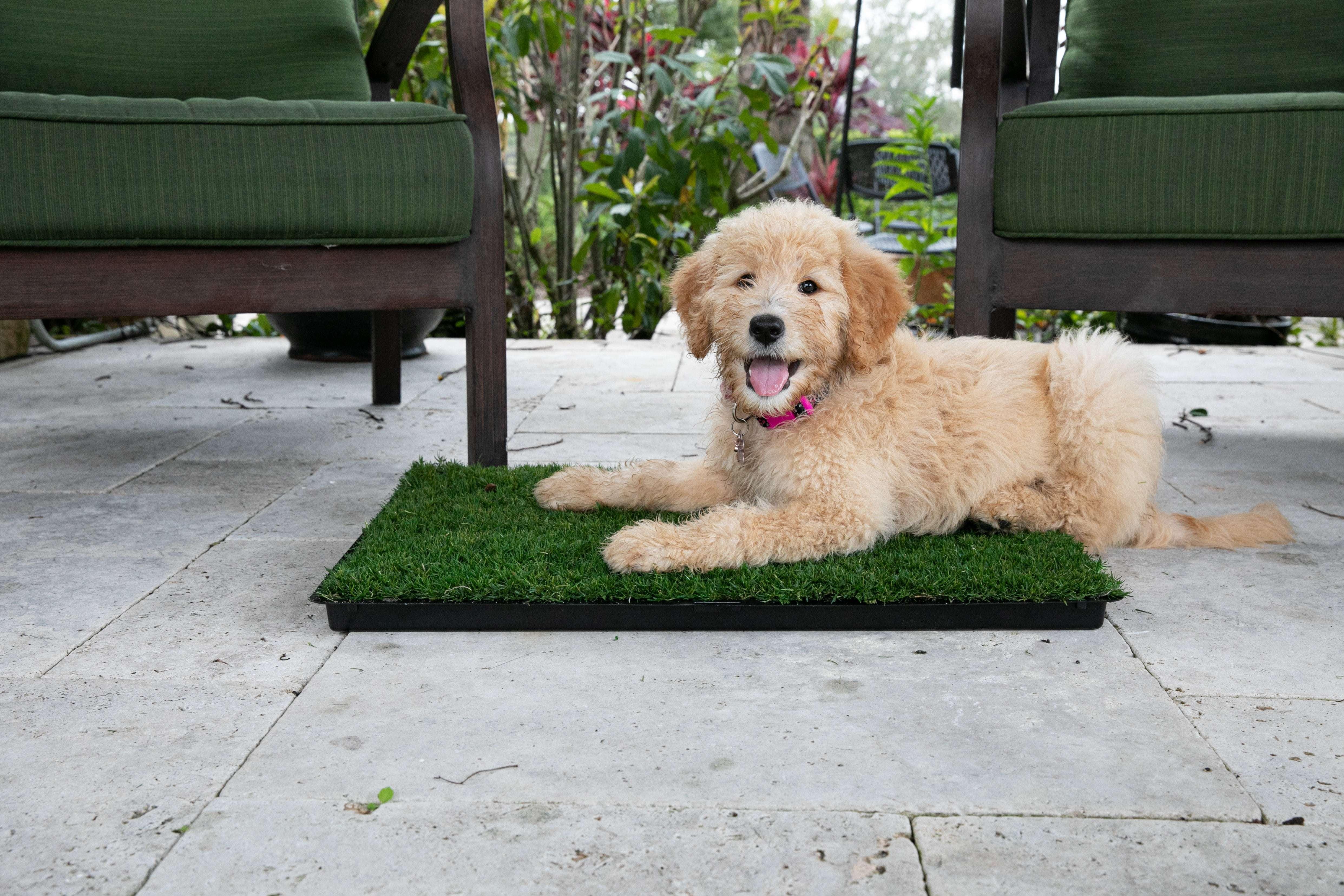 Outdoor Natural Grass Pads for Balconies and Patios