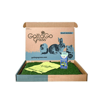 Gotta Go Grass 2 Pack with Tray + Waste Bags