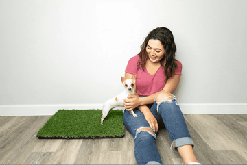 cute puppy on a gotta go grass pee pads