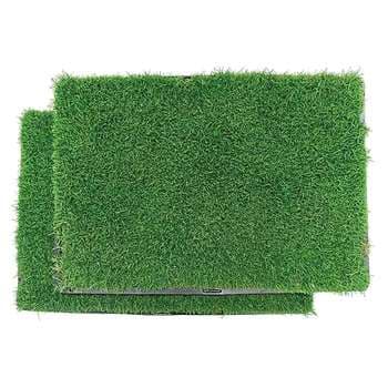 Gotta Go Grass® Double Grass Pack with Trays
