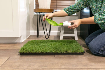 How to Set Up an Indoor Dog Waste Station Using Gotta Go Grass