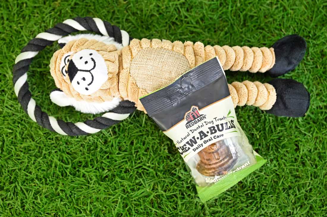 are-gluten-free-dental-chews-for-dogs-better