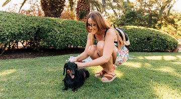 can-you-diy-grass-patch-for-dogs