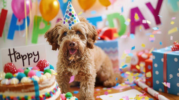 dog-birthday-party-for-dog-ideas