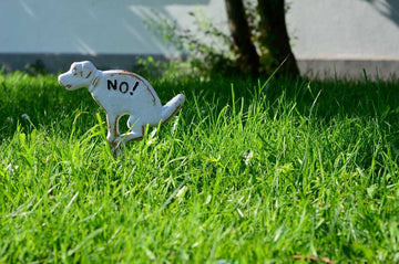 dog-food-that-reduces-poo
