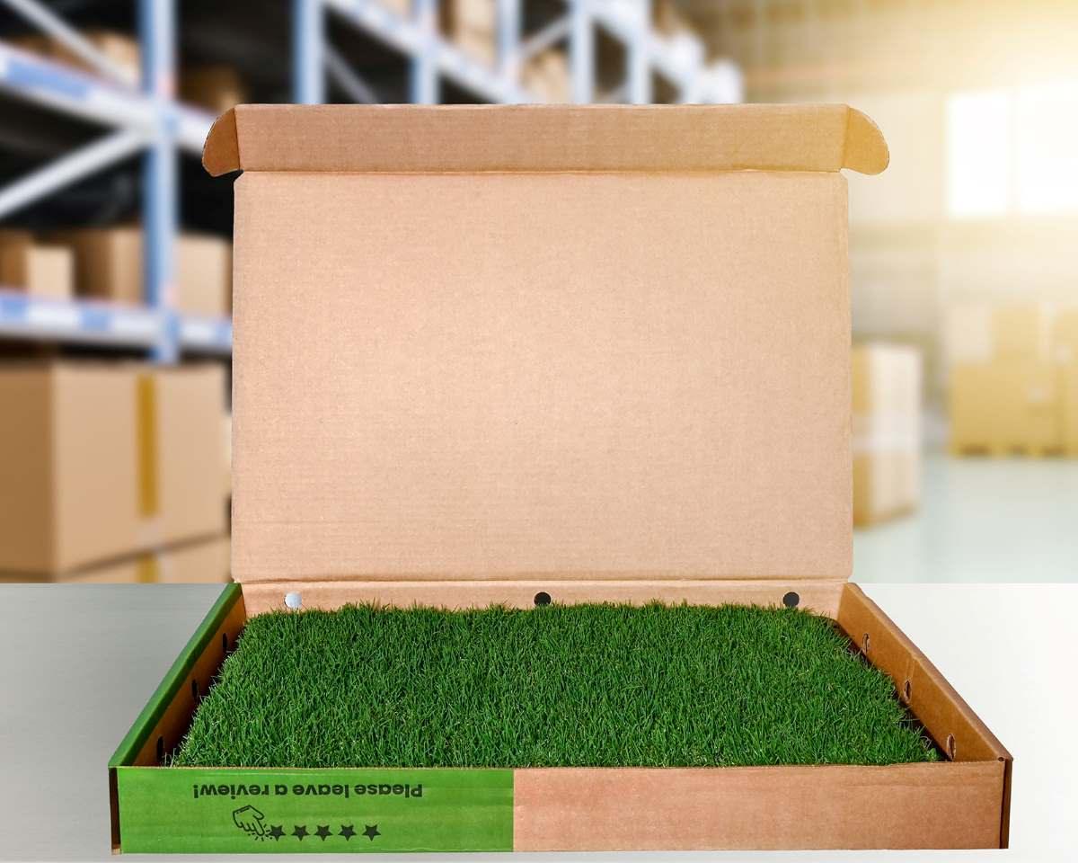 gotta-go-grass-subscription