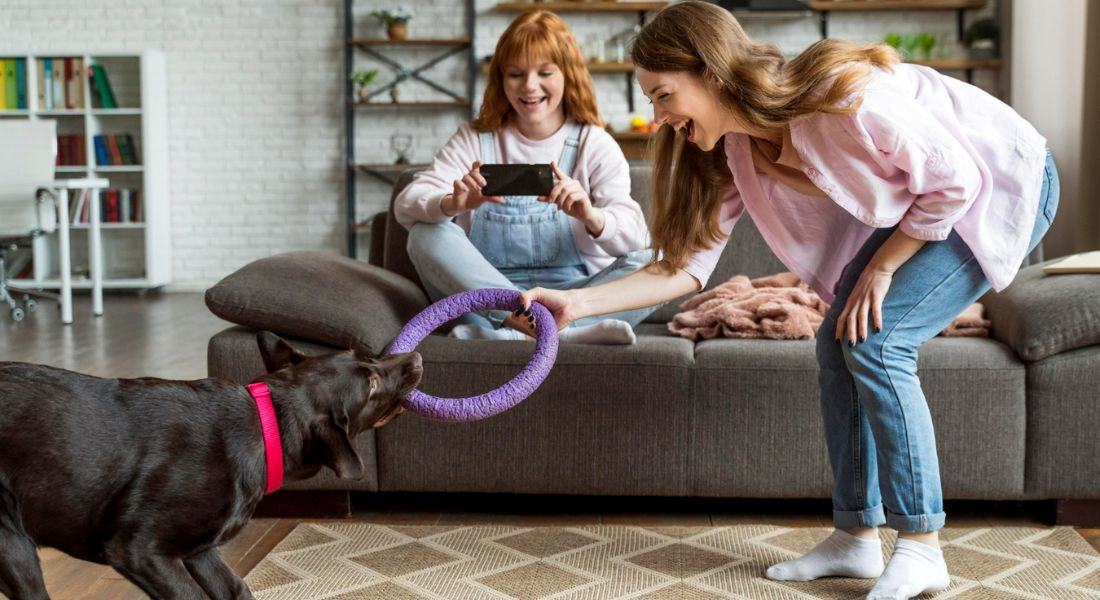 indoor-enrichment-activities-for-dogs