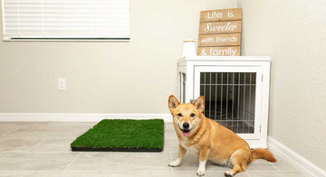 indoor-grass-pad-for-dogs