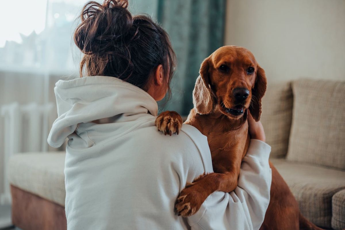 is-my-dog-depressed