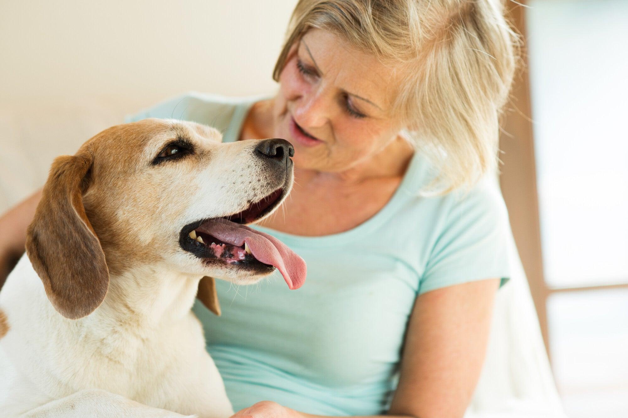 Why Do Dogs Lick Your Feet