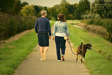 How Long Can a Dog Go Without Pooping?