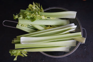 Is Celery Good for Dogs