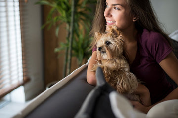 potty-training-dogs-in-apartments