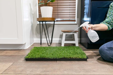 How to Clean Dog Grass Pad