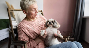 senior-dog-care