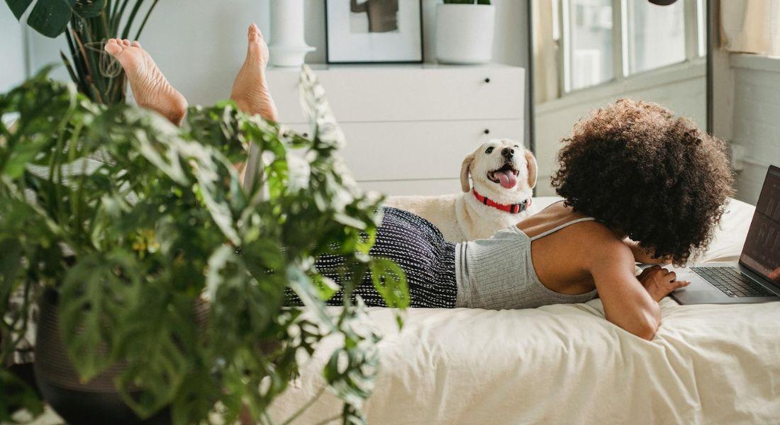 spring-cleaning-tips-for-pet-owners