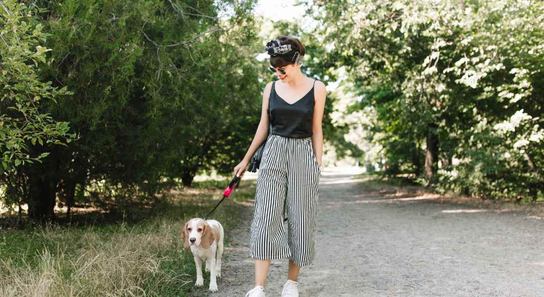 tips-on-walking-dog-in-summer