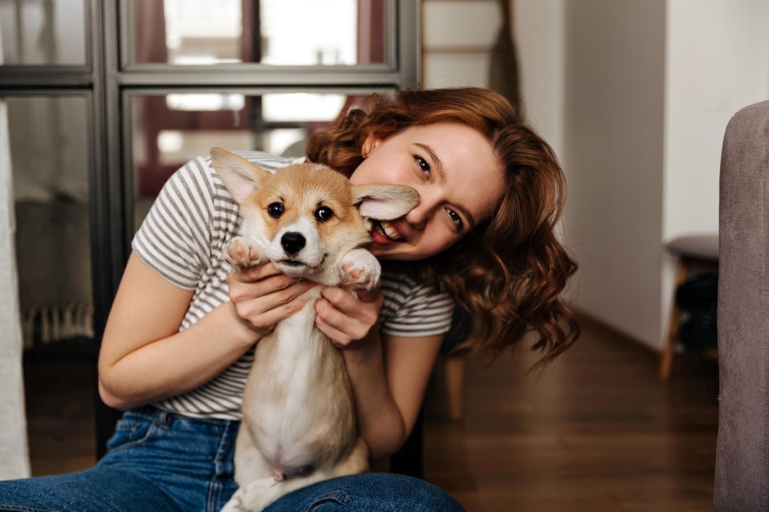 why-real-grass-indoor-pee-pads-are-best-for-dogs