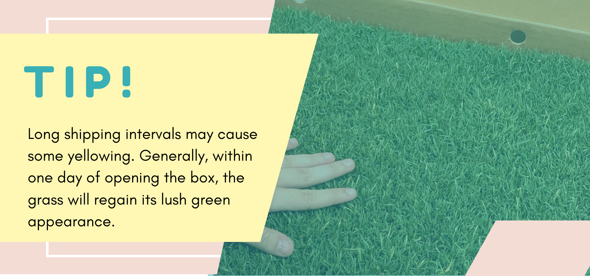 How our Natural Dog Grass Potty Works