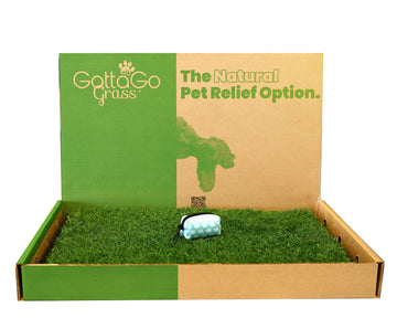 Gotta Go Grass Refill 2pk + Waste Bag Dispenser