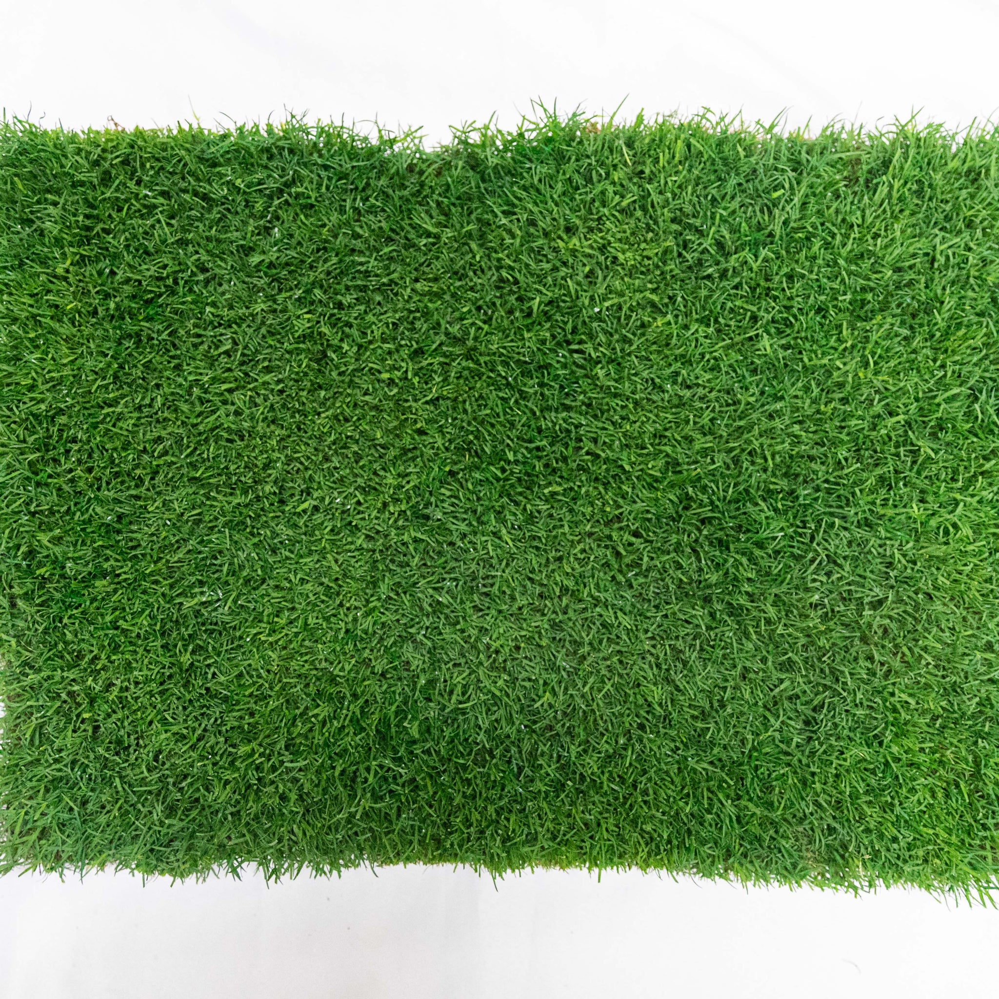 Gotta Go Grass® Single-Refill Grass Pad for Dogs