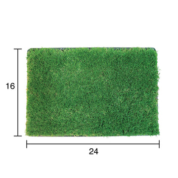 Gotta Go Grass® Single Pack Grass With Tray 16