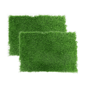Gotta Go Grass® Double-Refill Grass Pad for Dogs