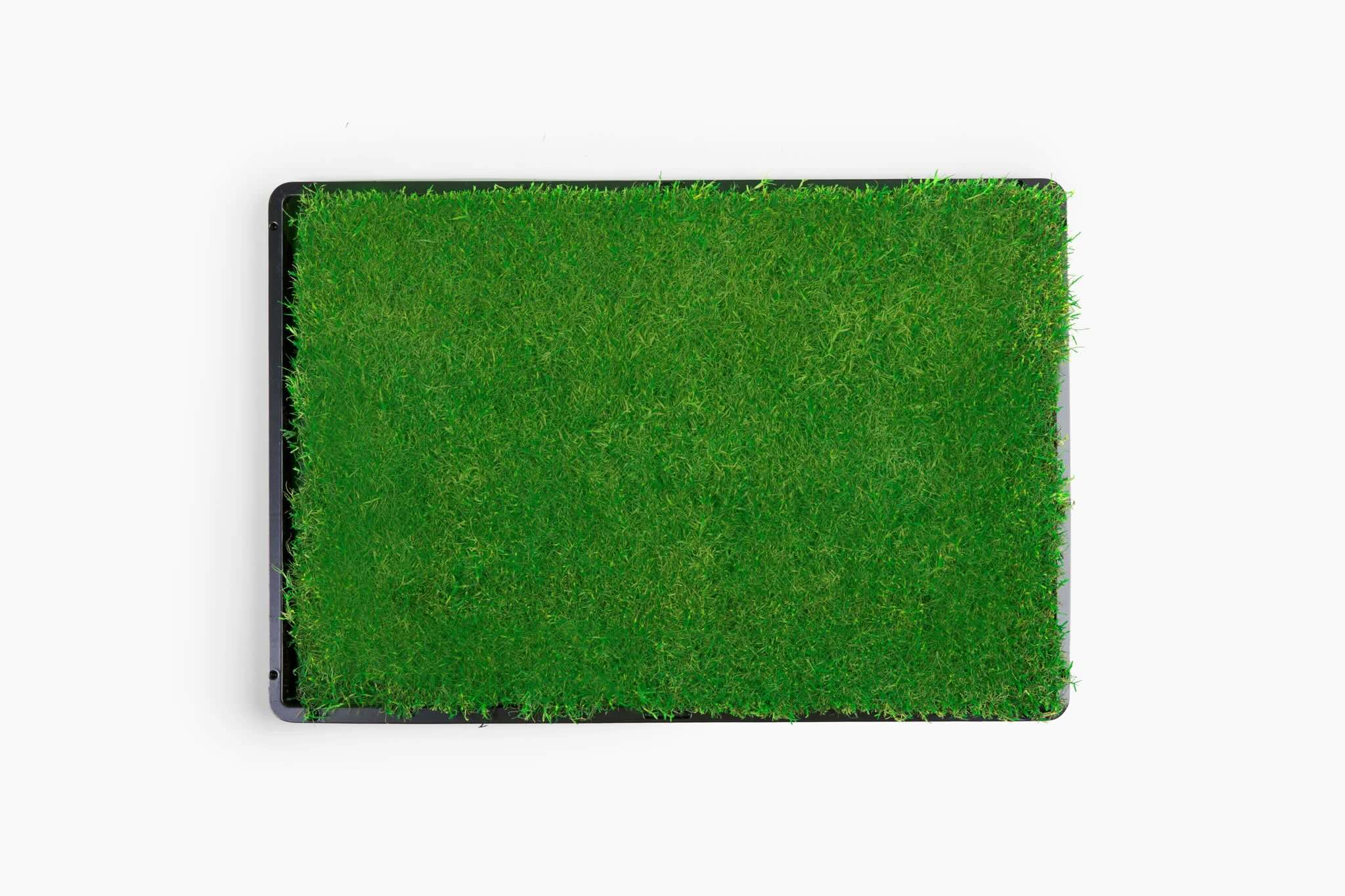 Gotta Go Grass® Single Pack Grass With Tray 16" x 24"