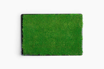 Gotta Go Grass® Single Pack Grass With Tray 16