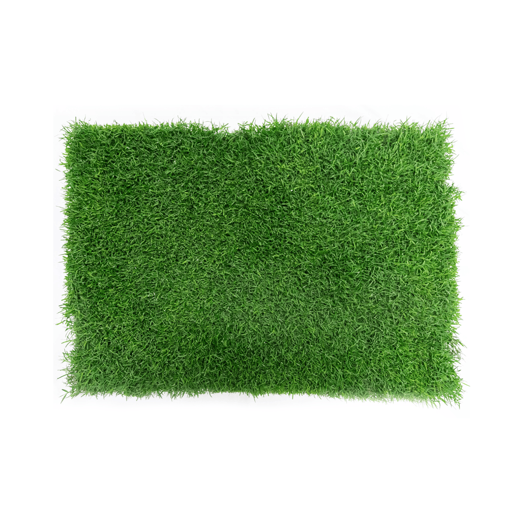 Gotta Go Grass® Single-Refill Grass Pad for Dogs