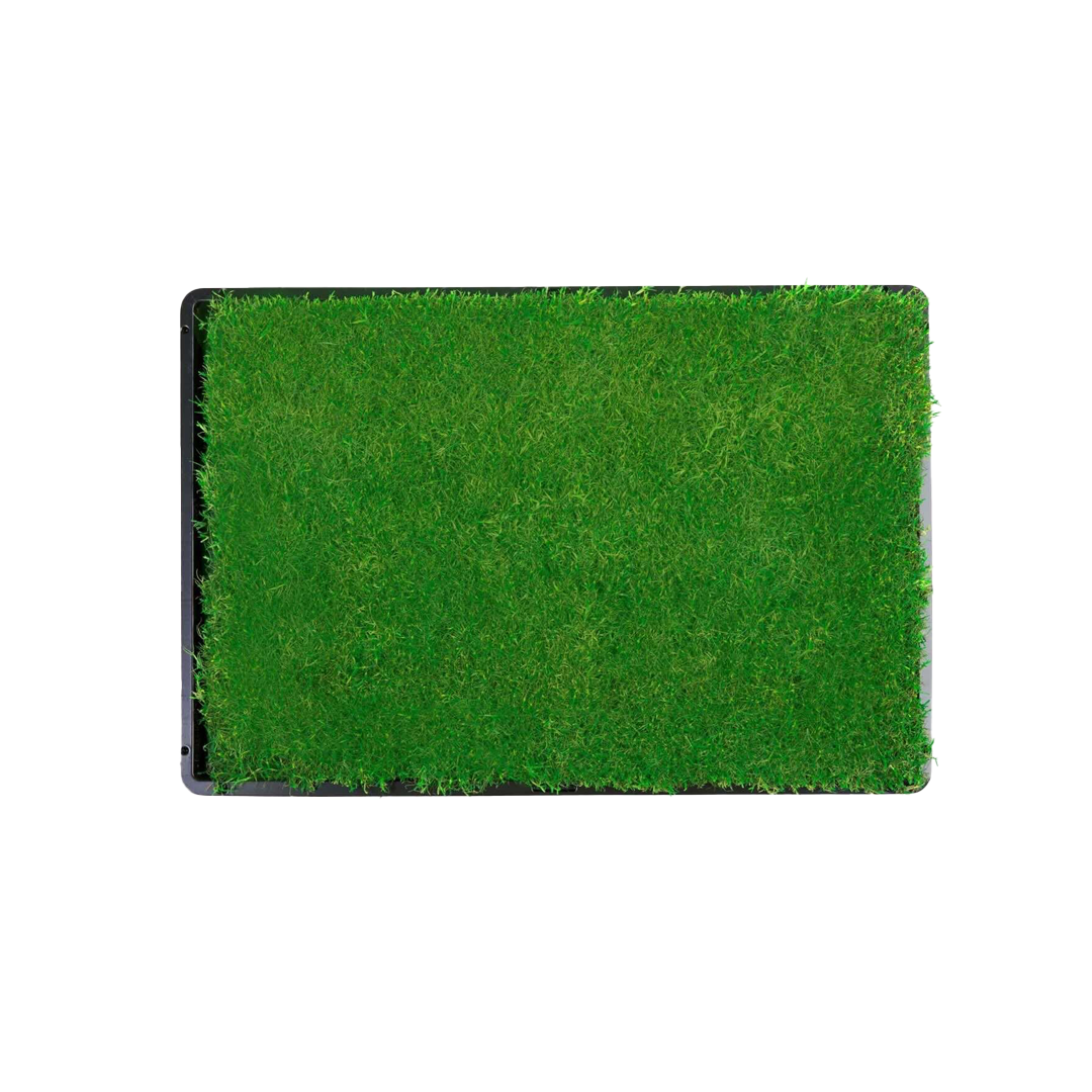 Gotta Go Grass® Single Pack Grass With Tray 16" x 24"