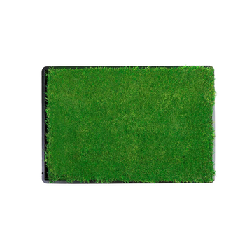 Gotta Go Grass® Single Pack Grass With Tray 16