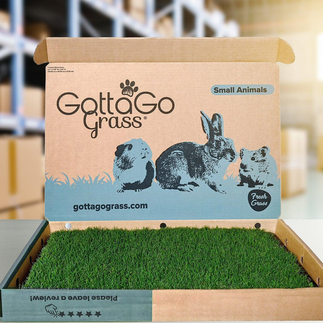 Gotta Go Grass pee pads for reptiles